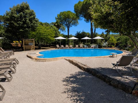 Garden view, Pool view, Swimming pool, sunbed