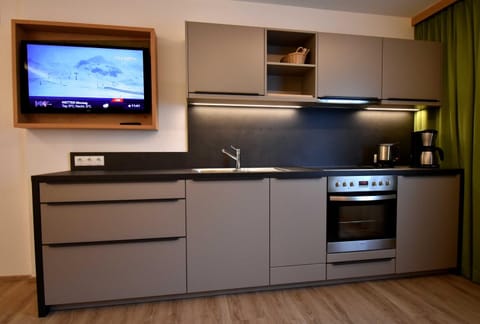 TV and multimedia, Kitchen or kitchenette, dishwasher, pet friendly, stove
