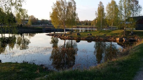 River view