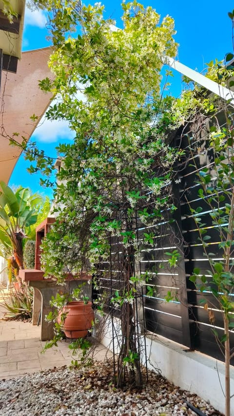 Spring, Garden, Garden view