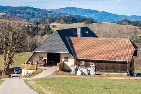 Brosihof Apartment in Titisee-Neustadt