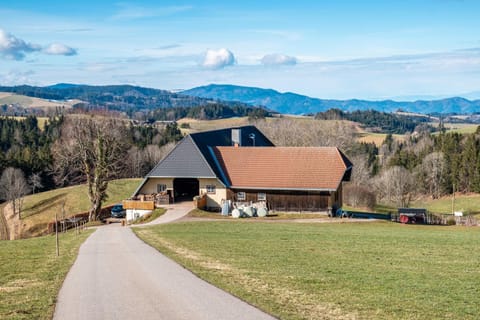 Brosihof Apartment in Titisee-Neustadt