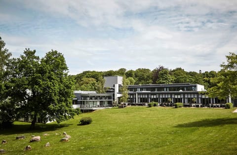 Property building, Spring, Day, Garden