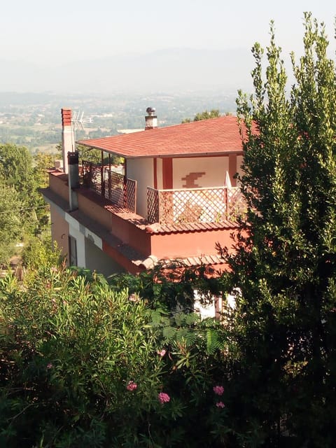 Property building, Natural landscape
