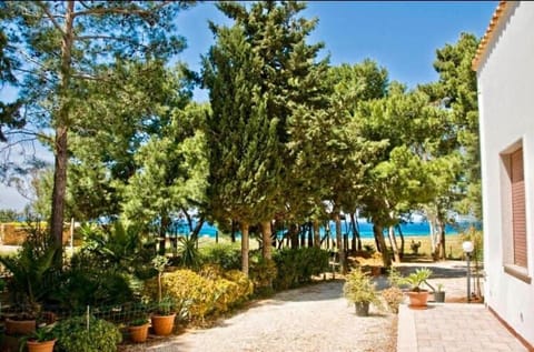 Garden, Garden view