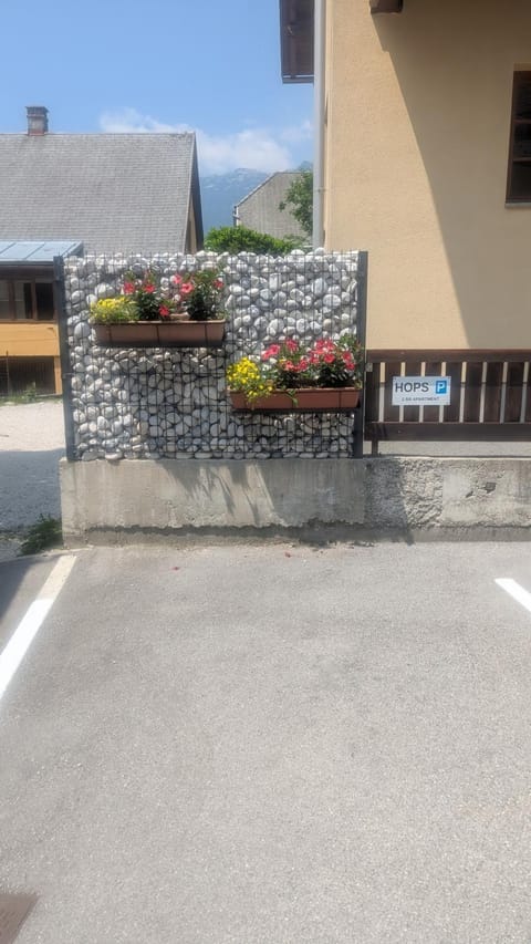 Thirsty River Apartments Apartment in Bovec