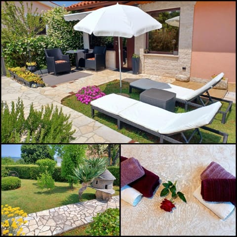 Patio, Garden