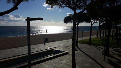 Beach, Sea view