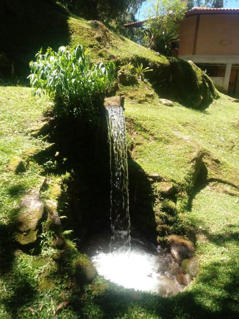 Chalé Truta da Floresta Chalet in State of Rio de Janeiro