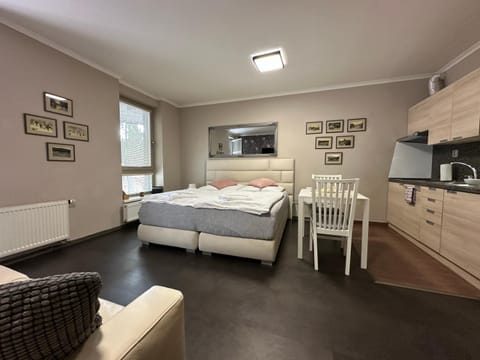 Bed, Kitchen or kitchenette, Living room, Seating area, Dining area, Bedroom