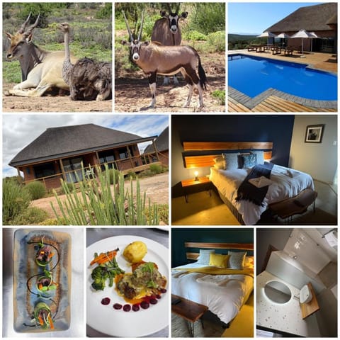 Property building, Restaurant/places to eat, Bed, Natural landscape, Bathroom, Animals, Bedroom, Swimming pool