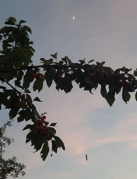 Vila s bazenom Anastazija Villa in Šibenik-Knin County, Croatia