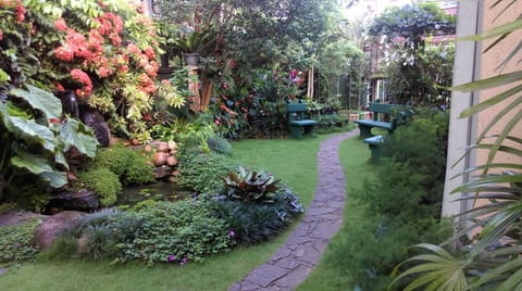 Garden