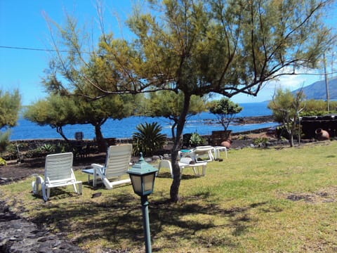 Natural landscape, Garden, Swimming pool