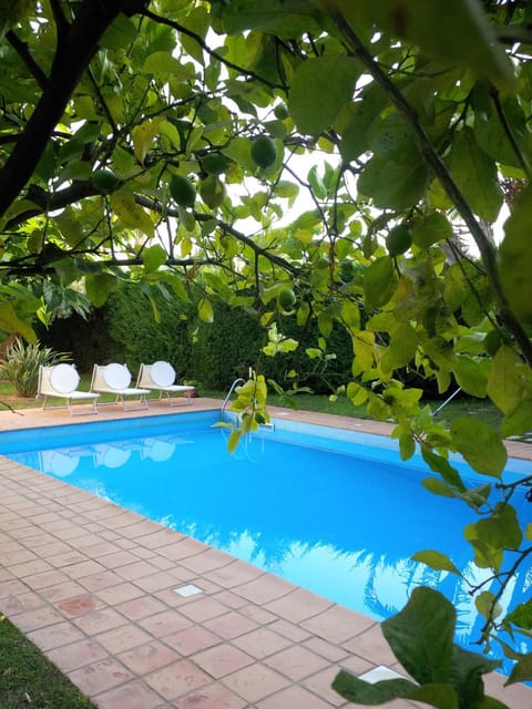 Day, Garden, Garden view, Swimming pool, sunbed