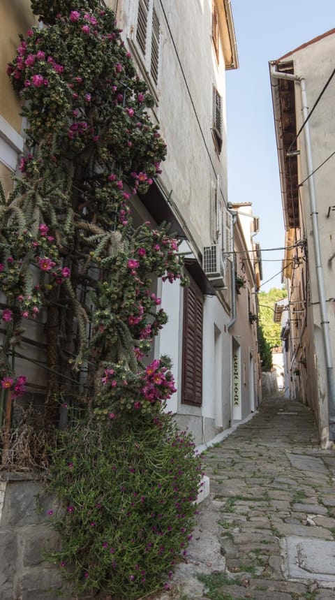 Facade/entrance, Neighbourhood, View (from property/room)