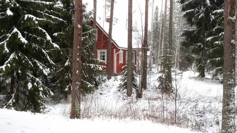 Property building, Winter