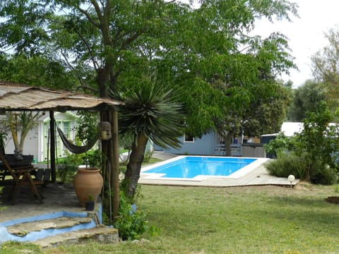 Natural landscape, Garden, Swimming pool