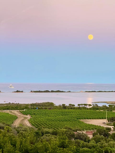 Day, Natural landscape, Sea view