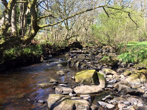 Nearby landmark, Natural landscape, Hiking