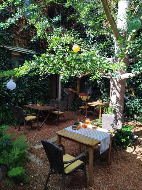 Patio, Garden