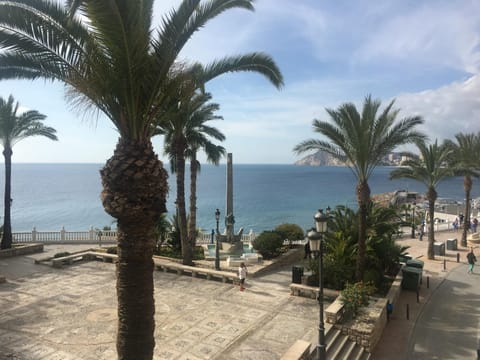 Sea view