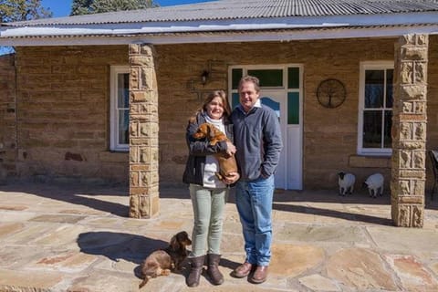 On site, Pets