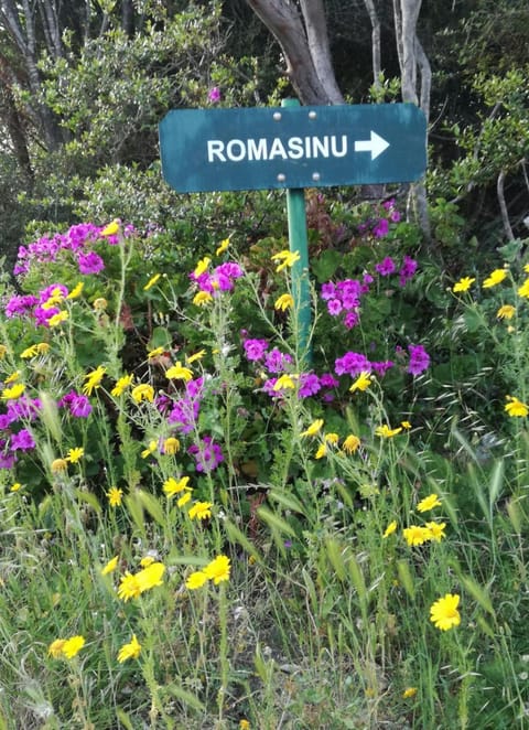 Property logo or sign, Sea view