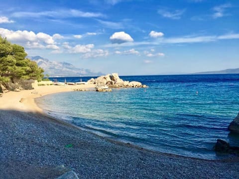 Natural landscape, Beach