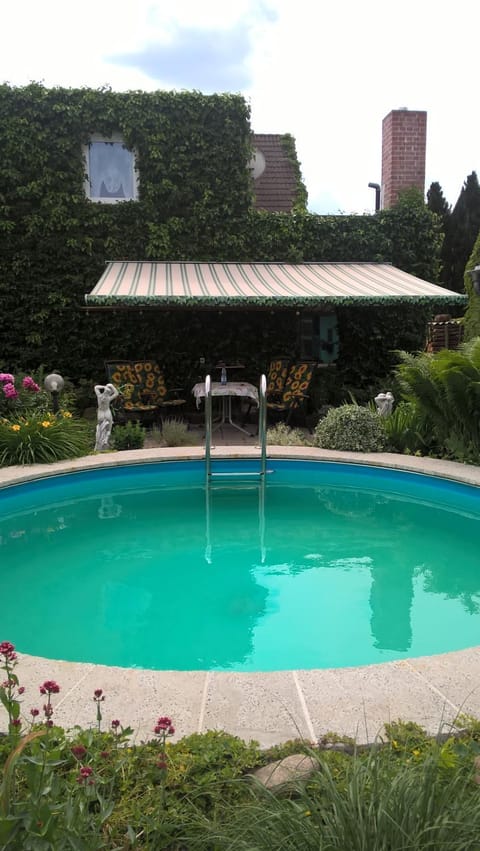 Summer, Swimming pool, Swimming pool