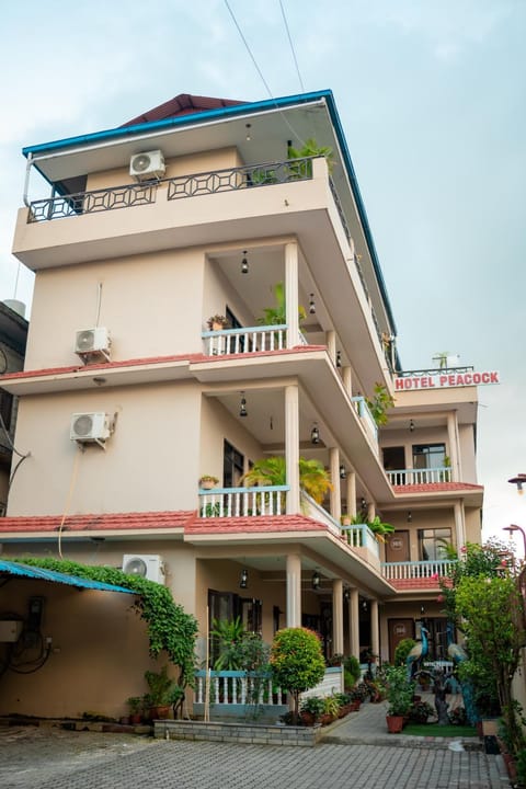 Property view