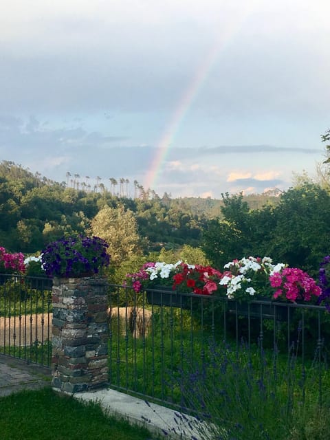 View (from property/room)