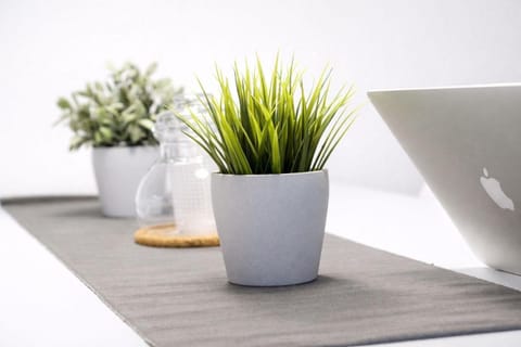 Ferienanlage-Reriker-Strasse-OG-links-721 Apartment in Kühlungsborn