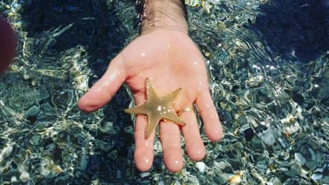 B&B Sa Pintadera Bed and Breakfast in Muravera