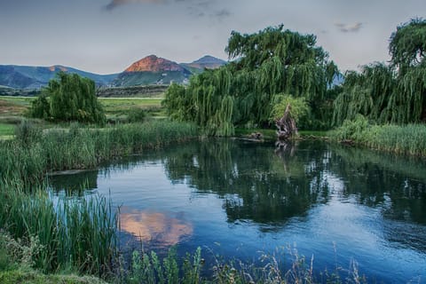 Natural landscape