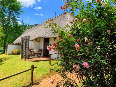 Property building, Natural landscape, Garden, Garden view