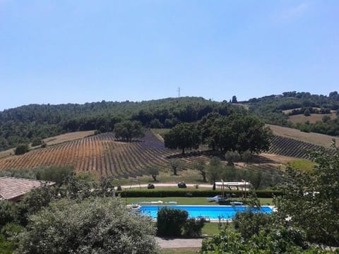 Garden view, Swimming pool