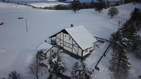Vila Jela Tornik House in Zlatibor