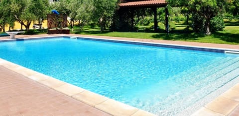 Day, Summer, Garden, Solarium, Garden view, Pool view, Swimming pool, sunbed