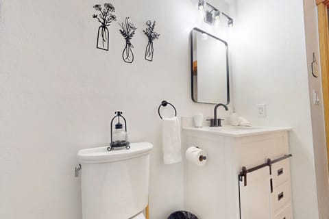 Meadow Creek House in Frisco