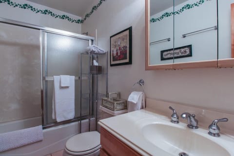 Meadow Creek House in Frisco