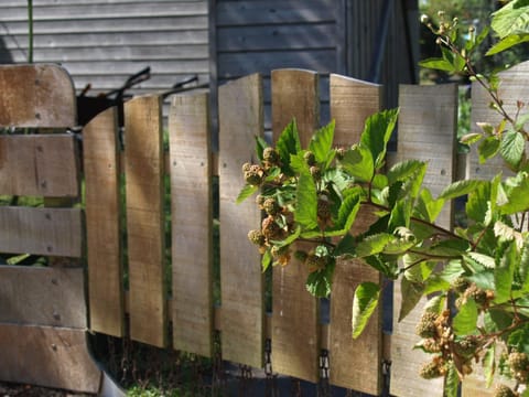 Le Chant Des Mûres Chalet in Finistere