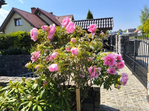 Pokoje gościnne Weronika Vacation rental in Pomeranian Voivodeship