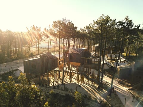 Property building, Bird's eye view