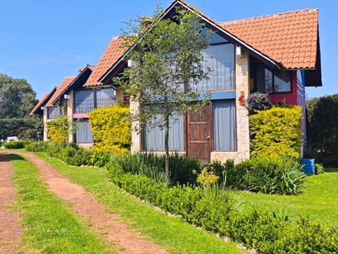 Namasté Cabañas, Huasca de Ocampo Nature lodge in Hidalgo, Mexico