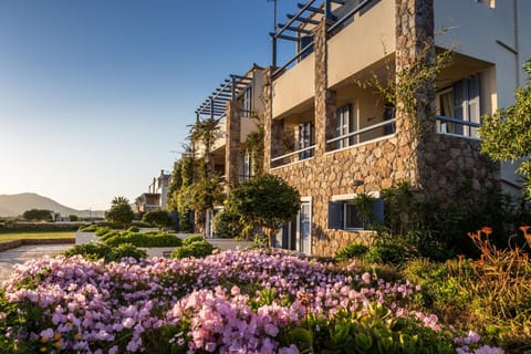 Property building, Garden, Garden