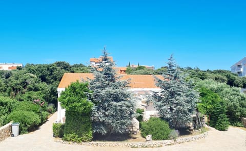 Neighbourhood, Garden, Garden view