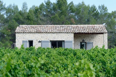 Property building, Spring, Day, Garden view