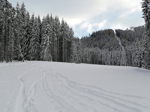 Ferienwohnung mit Blick auf die Buchensteinwand Apartment in Salzburgerland