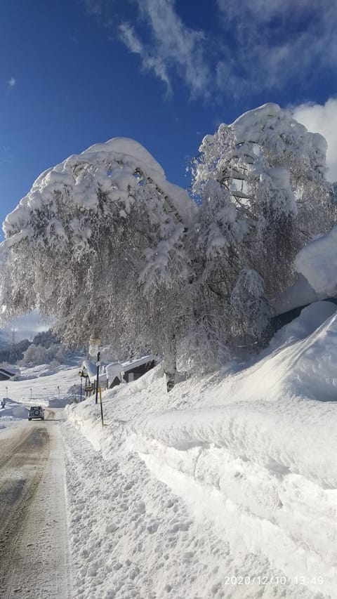 Appartamenti Presanella Apartment in Province of Brescia